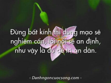 Đừng bất kính thì dung mạo sẽ nghiêm cẩn, lời nói sẽ an định, như vậy là đủ để trị an dân.