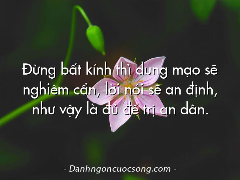 Đừng bất kính thì dung mạo sẽ nghiêm cẩn, lời nói sẽ an định, như vậy là đủ để trị an dân.