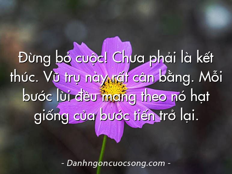 Đừng bỏ cuộc! Chưa phải là kết thúc. Vũ trụ này rất cân bằng. Mỗi bước lùi đều mang theo nó hạt giống của bước tiến trở lại.