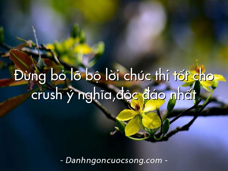 Đừng bỏ lỡ bộ lời chúc thi tốt cho crush ý nghĩa,độc đáo nhất