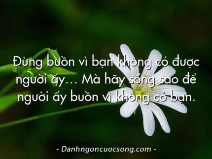 Đừng buồn vì bạn không có được người ấy… Mà hãy sống sao để người ấy buồn vì không có bạn.