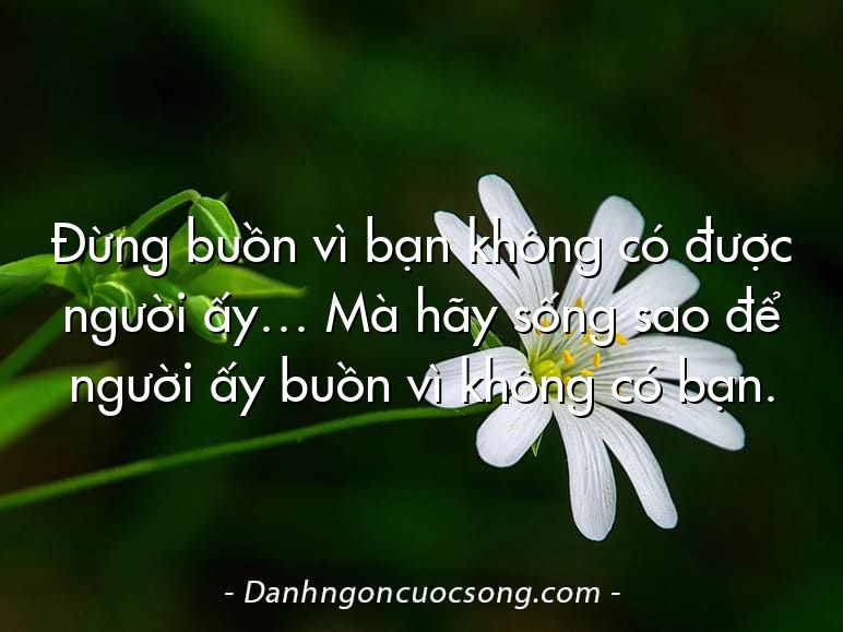Đừng buồn vì bạn không có được người ấy… Mà hãy sống sao để người ấy buồn vì không có bạn.