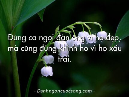 Đừng ca ngợi đàn ông vì họ đẹp, mà cũng đừng khinh họ vì họ xấu trai.