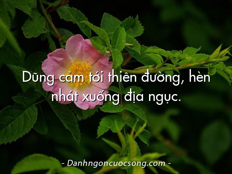 Dũng cảm tới thiên đường, hèn nhát xuống địa ngục.