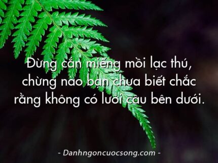 Đừng cắn miếng mồi lạc thú, chừng nào bạn chưa biết chắc rằng không có lưỡi câu bên dưới.