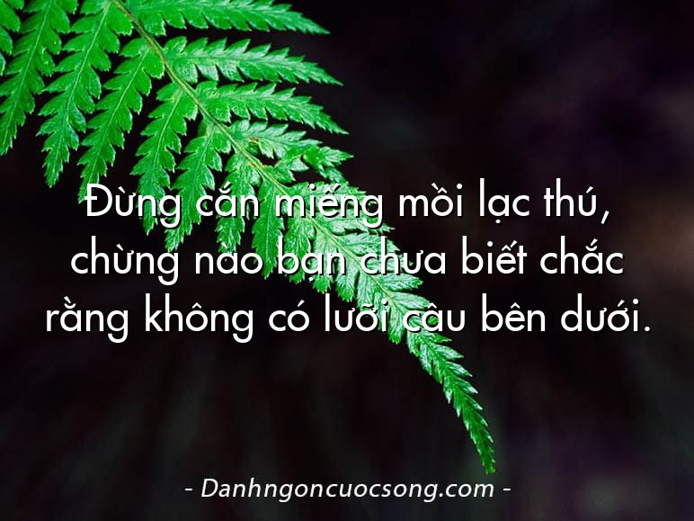 Đừng cắn miếng mồi lạc thú, chừng nào bạn chưa biết chắc rằng không có lưỡi câu bên dưới.