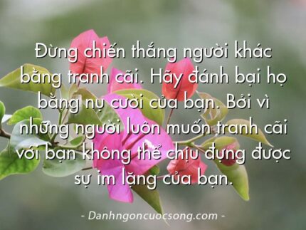 Đừng chiến thắng người khác bằng tranh cãi. Hãy đánh bại họ bằng nụ cười của bạn. Bởi vì những người luôn muốn tranh cãi với bạn không thể chịu đựng được sự im lặng của bạn.