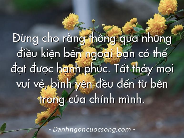 Đừng cho rằng thông qua những điều kiện bên ngoài bạn có thể đạt được hạnh phúc. Tất thảy mọi vui vẻ, bình yên đều đến từ bên trong của chính mình.