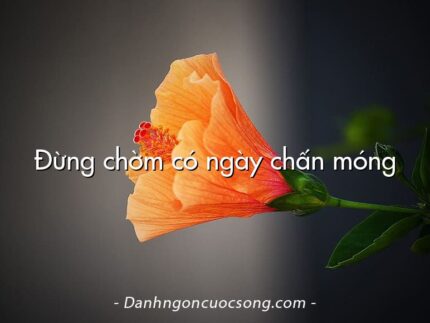 Đừng chờm có ngày chấn móng