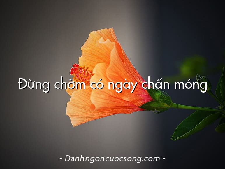 Đừng chờm có ngày chấn móng