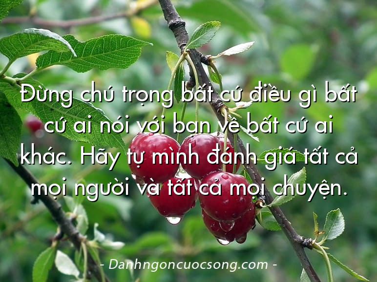 Đừng chú trọng bất cứ điều gì bất cứ ai nói với bạn về bất cứ ai khác. Hãy tự mình đánh giá tất cả mọi người và tất cả mọi chuyện.