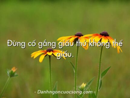 Đừng cố gắng giấu thứ không thể giấu.