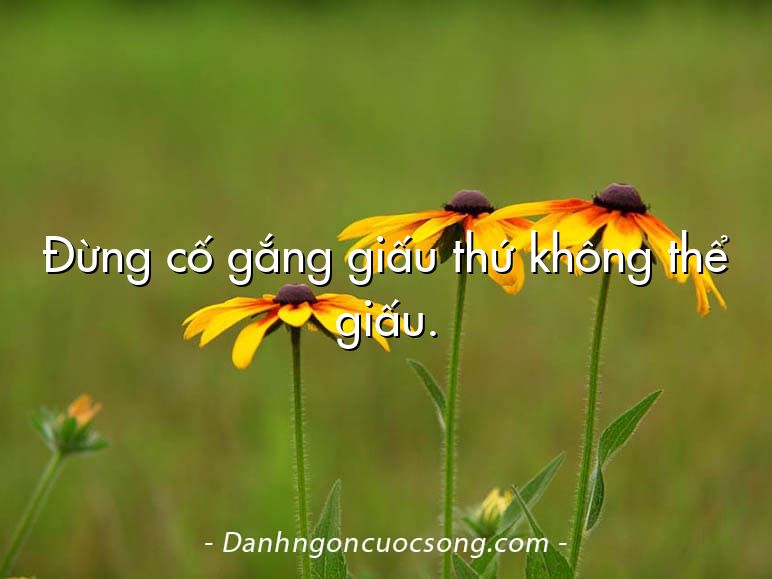 Đừng cố gắng giấu thứ không thể giấu.
