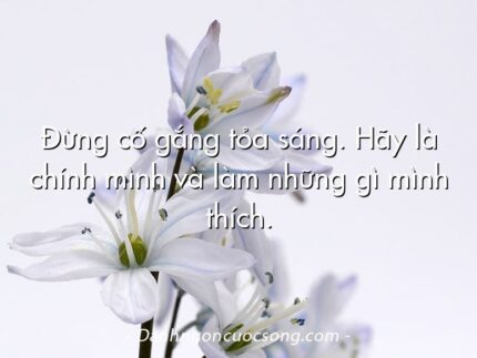 Đừng cố gắng tỏa sáng. Hãy là chính mình và làm những gì mình thích.