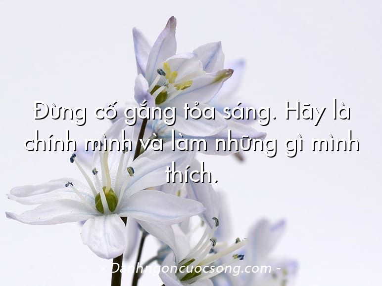Đừng cố gắng tỏa sáng. Hãy là chính mình và làm những gì mình thích.