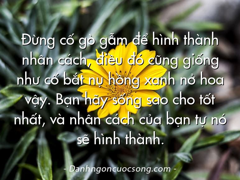 Đừng cố gò gẫm để hình thành nhân cách, điều đó cũng giống như cố bắt nụ hồng xanh nở hoa vậy. Bạn hãy sống sao cho tốt nhất, và nhân cách của bạn tự nó sẽ hình thành.