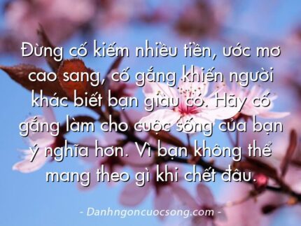 Đừng cố kiếm nhiều tiền, ước mơ cao sang, cố gắng khiến người khác biết bạn giàu có. Hãy cố gắng làm cho cuộc sống của bạn ý nghĩa hơn. Vì bạn không thể mang theo gì khi chết đâu.