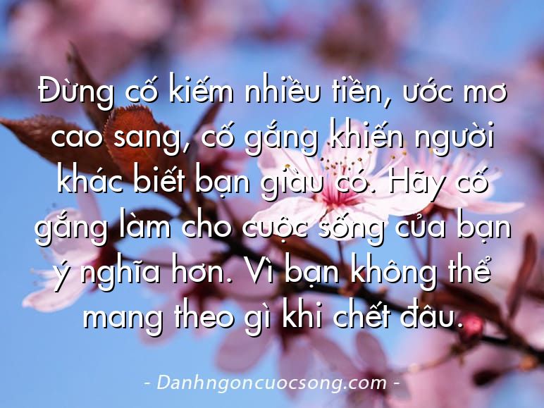 Đừng cố kiếm nhiều tiền, ước mơ cao sang, cố gắng khiến người khác biết bạn giàu có. Hãy cố gắng làm cho cuộc sống của bạn ý nghĩa hơn. Vì bạn không thể mang theo gì khi chết đâu.