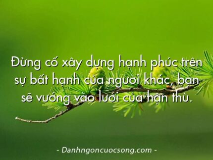 Đừng cố xây dựng hạnh phúc trên sự bất hạnh của người khác, bạn sẽ vướng vào lưới của hận thù.