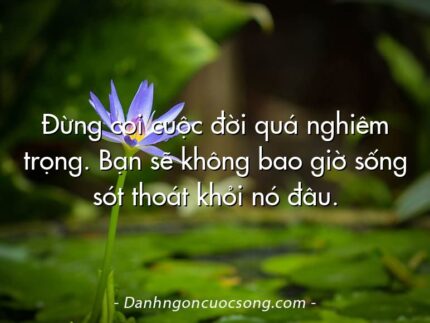 Đừng coi cuộc đời quá nghiêm trọng. Bạn sẽ không bao giờ sống sót thoát khỏi nó đâu.