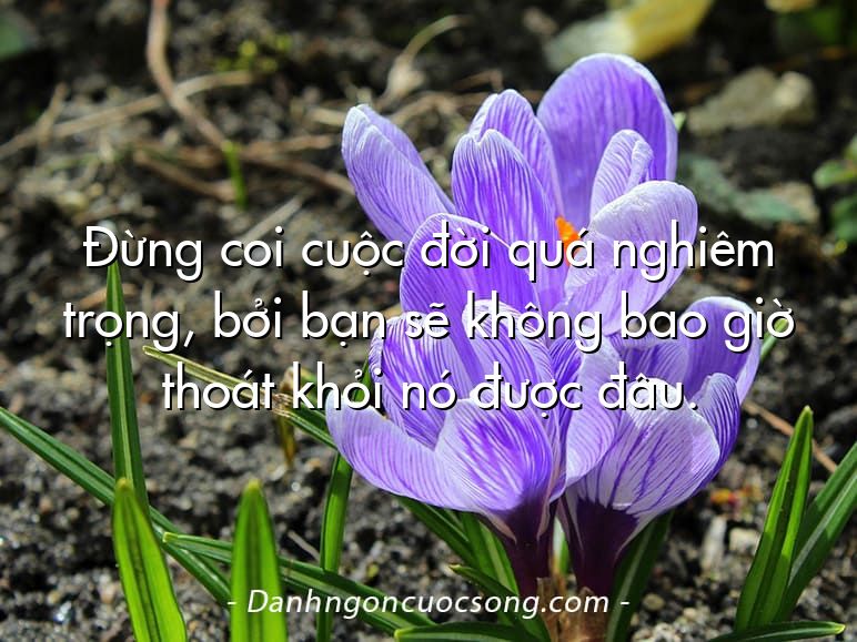 Đừng coi cuộc đời quá nghiêm trọng, bởi bạn sẽ không bao giờ thoát khỏi nó được đâu.