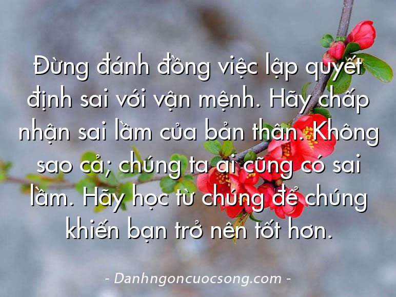 Đừng đánh đồng việc lập quyết định sai với vận mệnh. Hãy chấp nhận sai lầm của bản thân. Không sao cả; chúng ta ai cũng có sai lầm. Hãy học từ chúng để chúng khiến bạn trở nên tốt hơn.