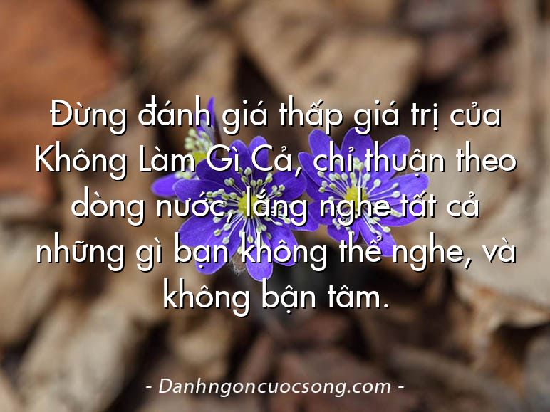 Đừng đánh giá thấp giá trị của Không Làm Gì Cả, chỉ thuận theo dòng nước, lắng nghe tất cả những gì bạn không thể nghe, và không bận tâm.