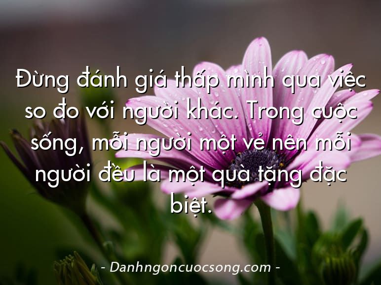 Đừng đánh giá thấp mình qua việc so đo với người khác. Trong cuộc sống, mỗi người một vẻ nên mỗi người đều là một quà tặng đặc biệt.