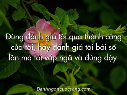 Đừng đánh giá tôi qua thành công của tôi, hãy đánh giá tôi bởi số lần mà tôi vấp ngã và đứng dậy.
