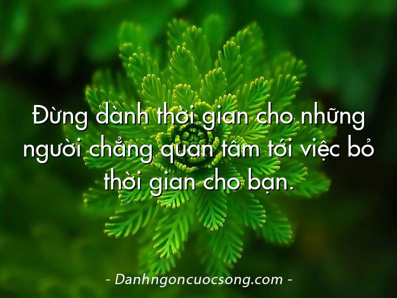Đừng dành thời gian cho những người chẳng quan tâm tới việc bỏ thời gian cho bạn.
