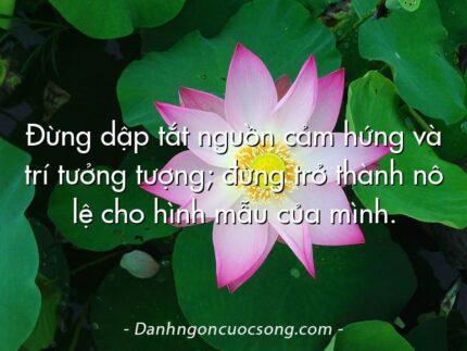 Đừng dập tắt nguồn cảm hứng và trí tưởng tượng; đừng trở thành nô lệ cho hình mẫu của mình.