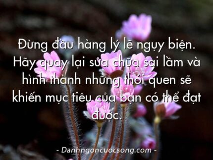 Đừng đầu hàng lý lẽ ngụy biện. Hãy quay lại sửa chữa sai lầm và hình thành những thói quen sẽ khiến mục tiêu của bạn có thể đạt được.