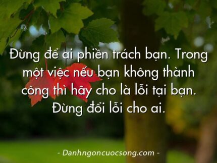 Đừng để ai phiền trách bạn. Trong một việc nếu bạn không thành công thì hãy cho là lỗi tại bạn. Đừng đổi lỗi cho ai.