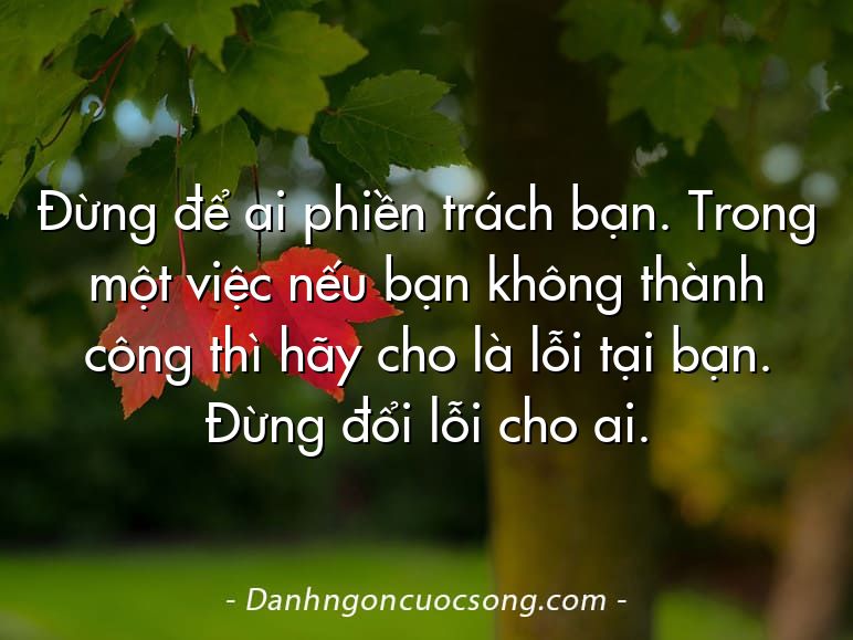 Đừng để ai phiền trách bạn. Trong một việc nếu bạn không thành công thì hãy cho là lỗi tại bạn. Đừng đổi lỗi cho ai.