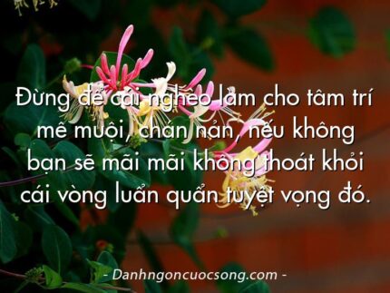 Đừng để cái nghèo làm cho tâm trí mê muội, chán nản, nếu không bạn sẽ mãi mãi không thoát khỏi cái vòng luẩn quẩn tuyệt vọng đó.