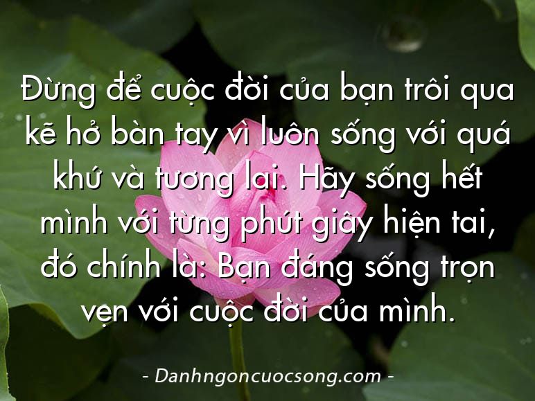 Đừng để cuộc đời của bạn trôi qua kẽ hở bàn tay vì luôn sống với quá khứ và tương lai. Hãy sống hết mình với từng phút giây hiện tai, đó chính là: Bạn đáng sống trọn vẹn với cuộc đời của mình.