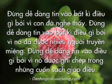 Đừng dễ dàng tin vào bất kì điều gì bởi vì con đã nghe thấy. Đừng dễ dàng tin vào bất kì điều gì bởi vì nó đã được nhiều người truyền miệng. Đừng dễ dàng tin vào điều gì bởi vì nó được ghi chép trong những cuốn sách giáo điều.