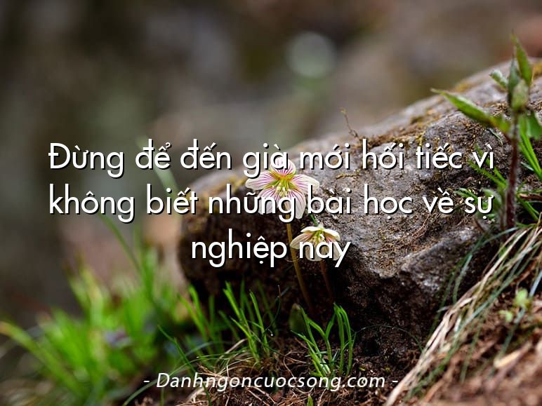 Đừng để đến già mới hối tiếc vì không biết những bài học về sự nghiệp này