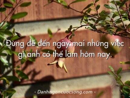 Đừng để đến ngày mai những việc gì anh có thể làm hôm nay.