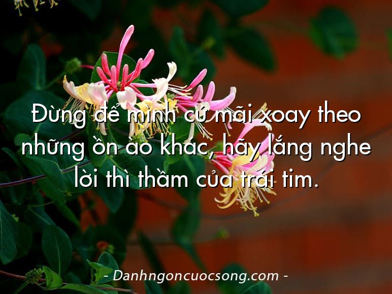 Đừng để mình cứ mãi xoay theo những ồn ào khác, hãy lắng nghe lời thì thầm của trái tim.