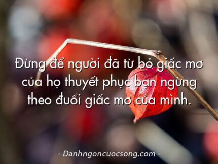 Đừng để người đã từ bỏ giấc mơ của họ thuyết phục bạn ngừng theo đuổi giấc mơ của mình.