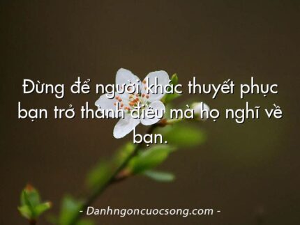 Đừng để người khác thuyết phục bạn trở thành điều mà họ nghĩ về bạn.