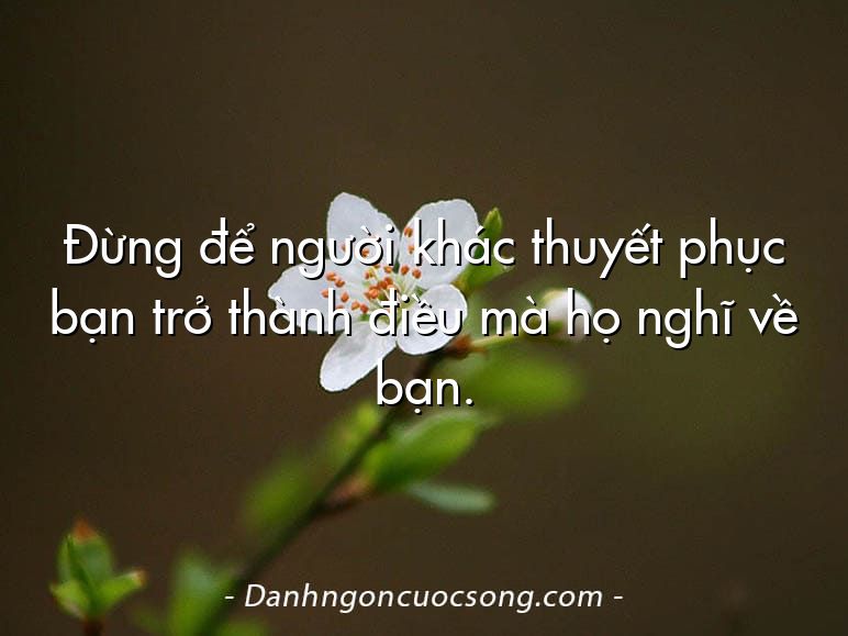 Đừng để người khác thuyết phục bạn trở thành điều mà họ nghĩ về bạn.