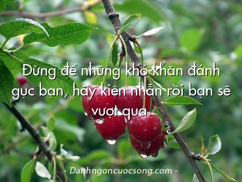 Đừng để những khó khăn đánh gục bạn, hãy kiên nhẫn rồi bạn sẽ vượt qua.