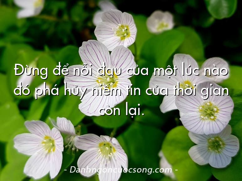 Đừng để nỗi đau của một lúc nào đó phá hủy niềm tin của thời gian còn lại.