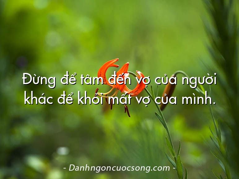 Đừng để tâm đến vợ của người khác để khỏi mất vợ của mình.