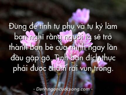 Ðừng để tính tự phụ và tự kỷ làm bạn nghĩ rằng người ta sẽ trở thành bạn bè của mình ngay lần đầu gặp gỡ. Tình bạn đích thực phải được chậm rãi vun trồng.