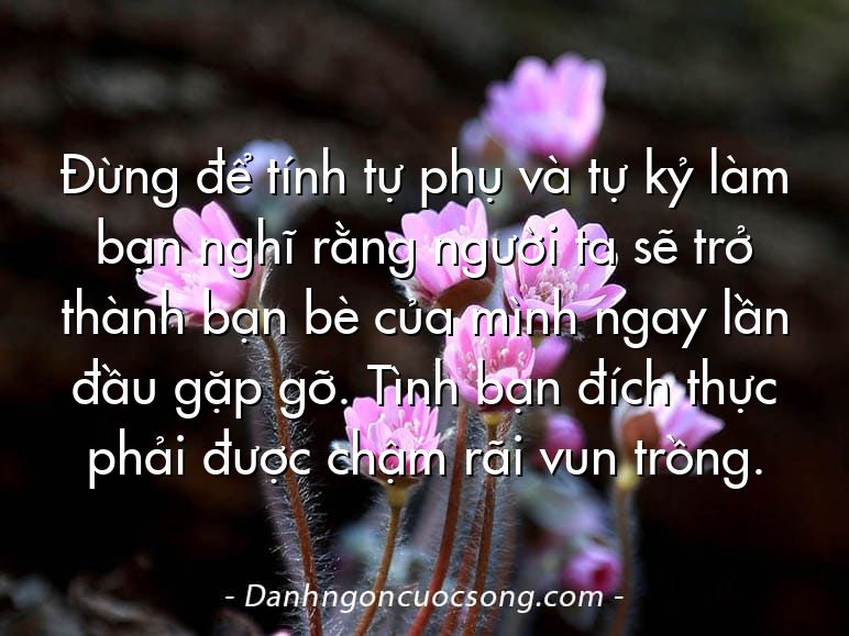 Ðừng để tính tự phụ và tự kỷ làm bạn nghĩ rằng người ta sẽ trở thành bạn bè của mình ngay lần đầu gặp gỡ. Tình bạn đích thực phải được chậm rãi vun trồng.