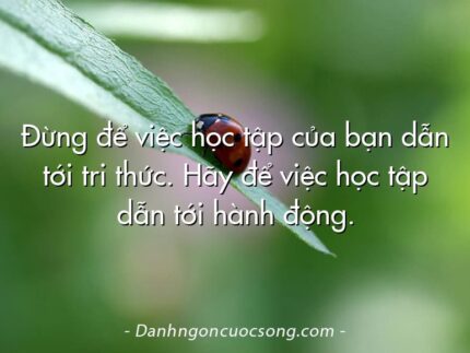Đừng để việc học tập của bạn dẫn tới tri thức. Hãy để việc học tập dẫn tới hành động.