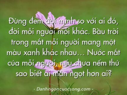 Đừng đem đời mình so với ai đó, đời mỗi người mỗi khác. Bầu trời trong mắt mỗi người mang một màu xanh khác nhau… Nước mắt của mỗi người, nếu chưa nếm thử sao biết ai mặn ngọt hơn ai?